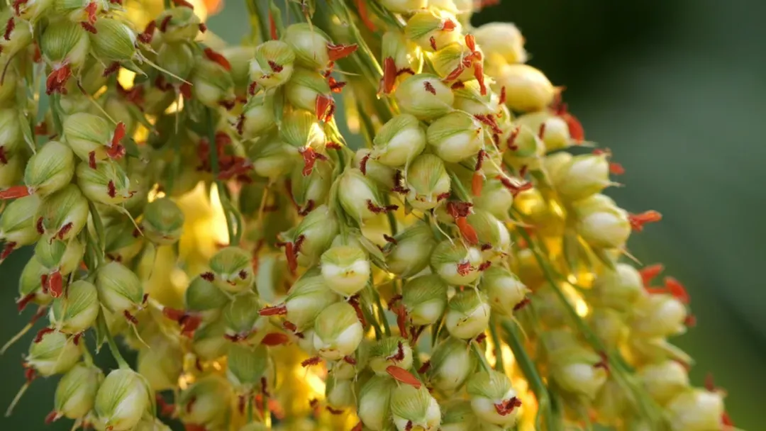 640_wx_fmt=other&from=appmsg&tp=webp&wxfrom=5&wx_lazy=1 (2)